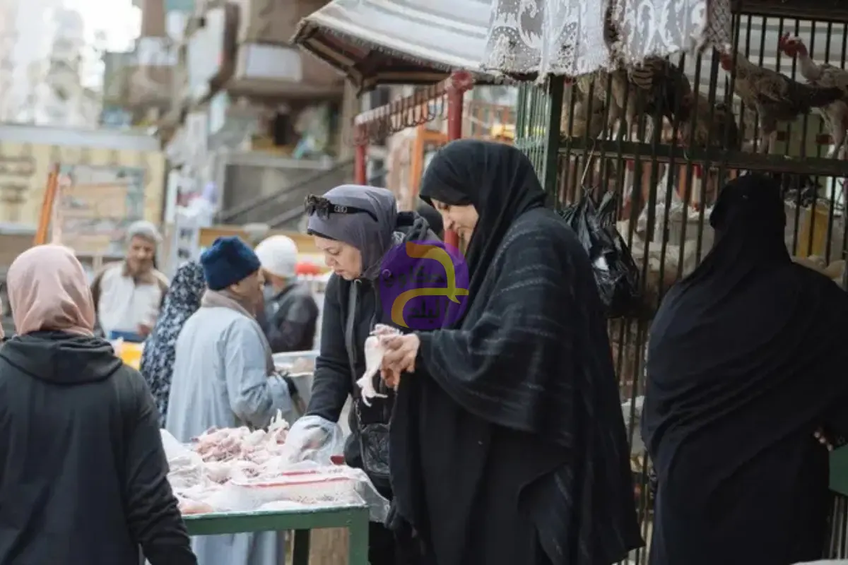 جراء عاجل لمواجهة ارتفاع أسعار الدواجن قبل رمضان