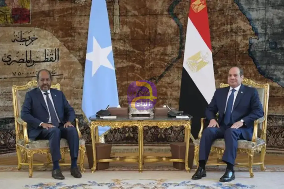 في القاهرة.. قمة مصرية صومالية لتعزيز العلاقات الثنائية