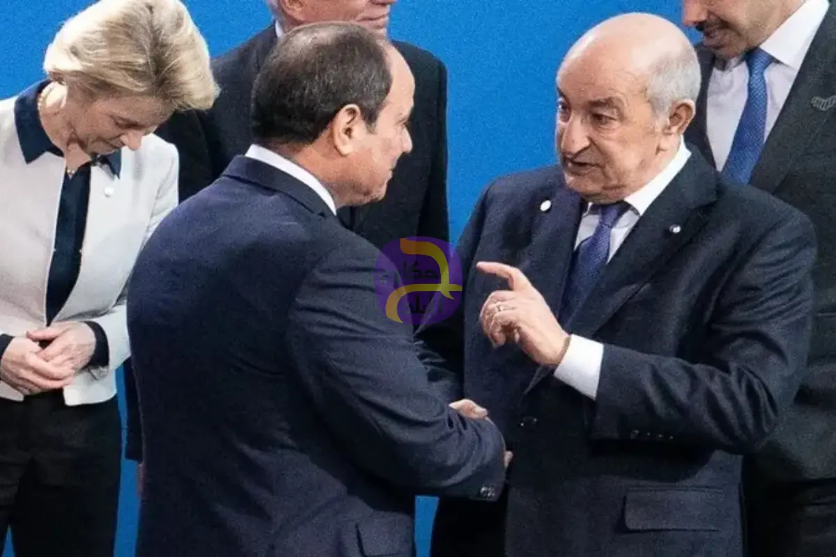 السيسي: التضامن المصري الجزائري ضمانة لاستقرار المنطقة