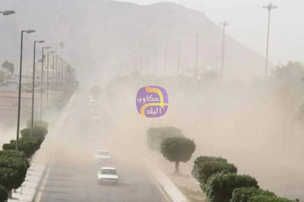 حالة الطقس غدًا الثلاثاء 17-2-2026.. «الأرصاد»: رياح مثيرة للرمال والأتربة وأمطار خفيفة
