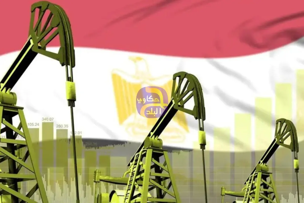 مصر تسعى لجذب شركات عالمية للبحث عن البترول في البحر الأحمر