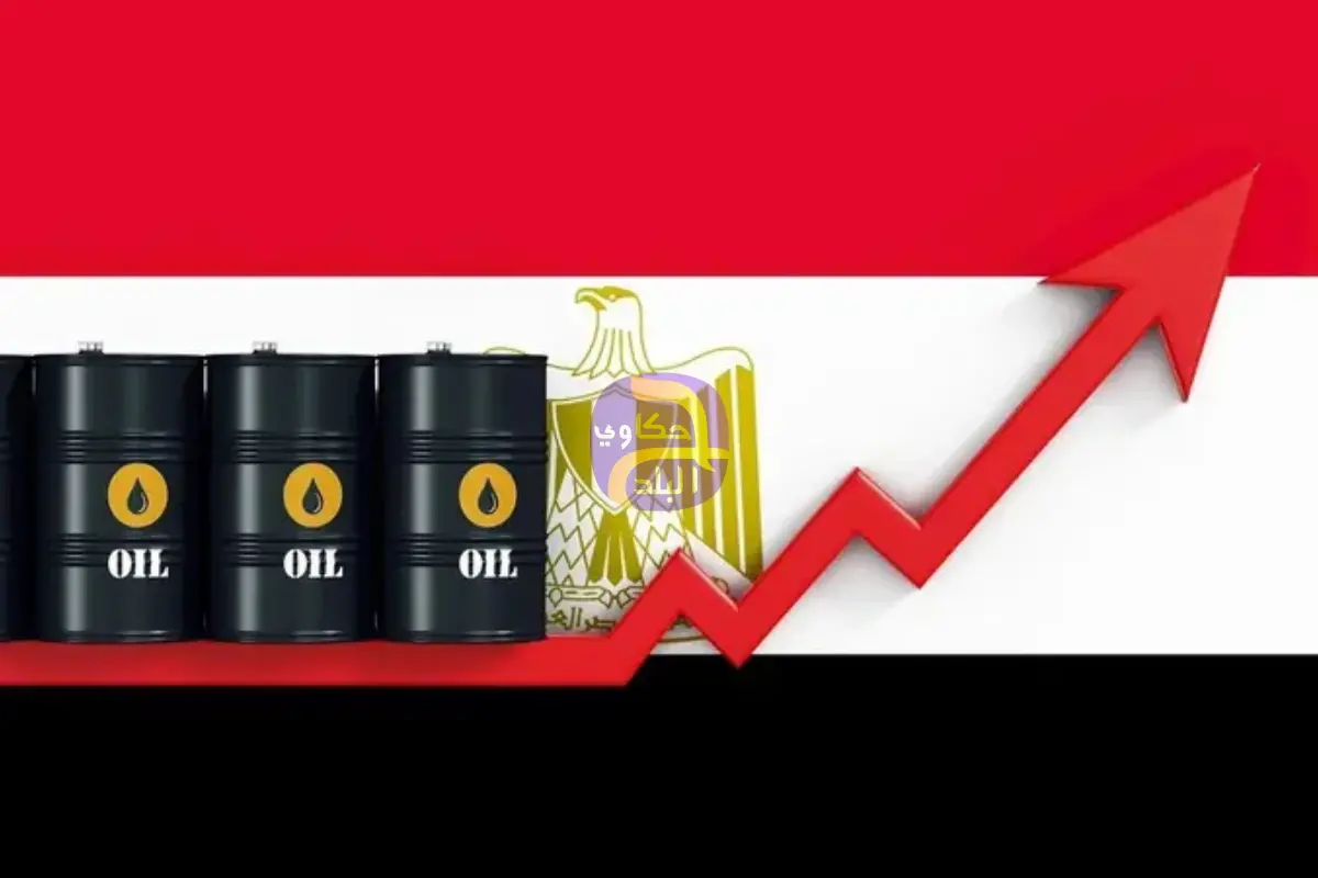 مصر تُخصص 220 مليون دولار لاستيراد شحنات بترول في مارس وأبريل