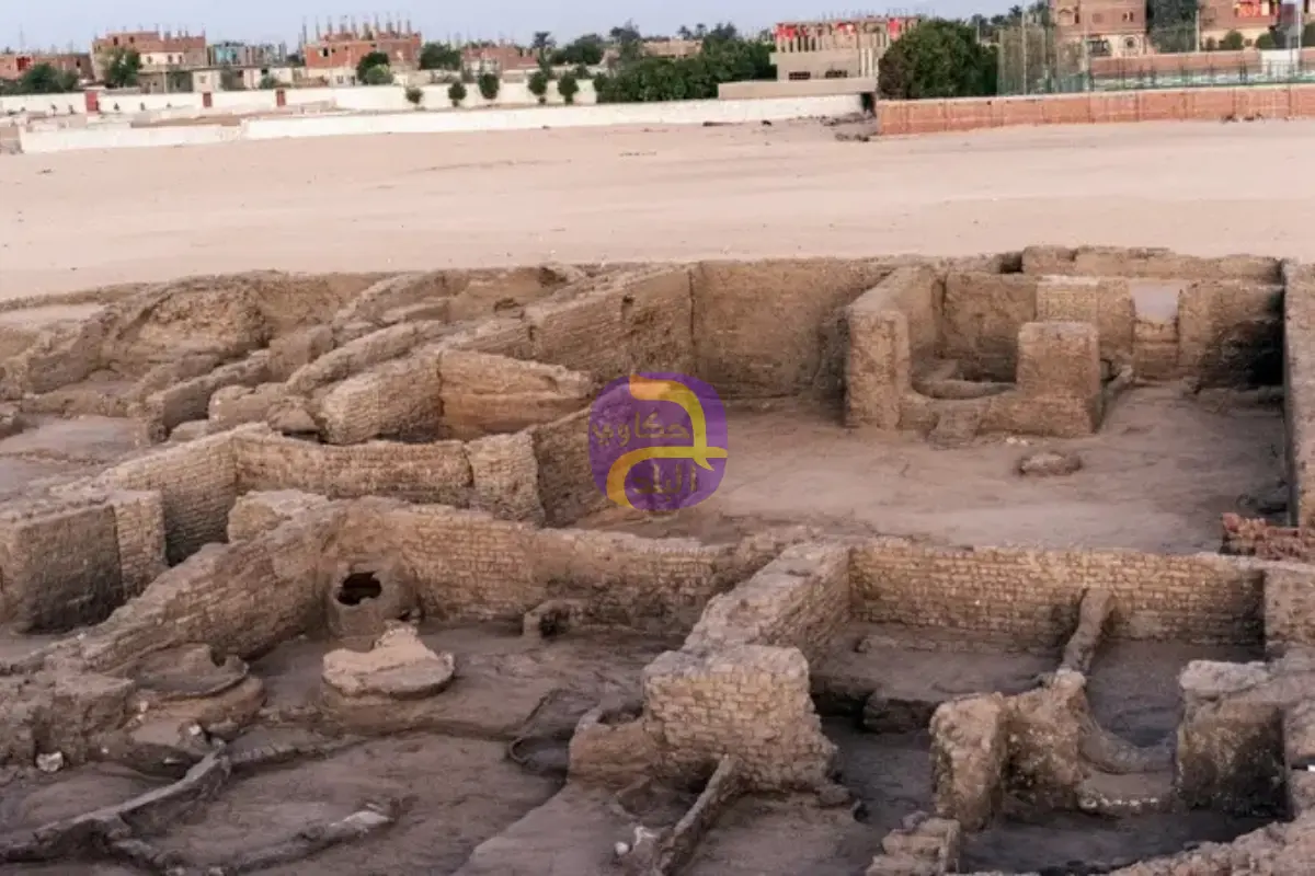 كشف أثري مذهل في مصر.. كنوز "شيخ العرب همام" تخرج للعلن