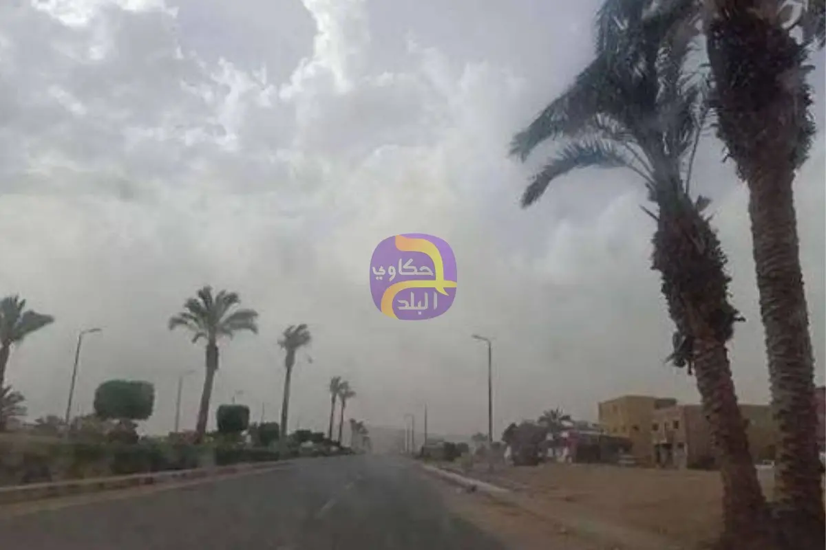 أمطار وانخفاض درجات الحرارة.. الأرصاد تكشف حالة الطقس في مصر الأسبوع المقبل