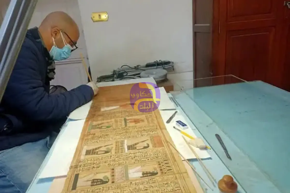 بقع داكنة وفطريات.. ترميم بردية مصرية وإحالة مسؤول للتحقيق