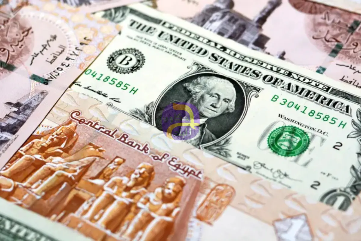 باب الخروج.. هل تستطيع مصر التخلص من "صداع" الأموال الساخنة؟