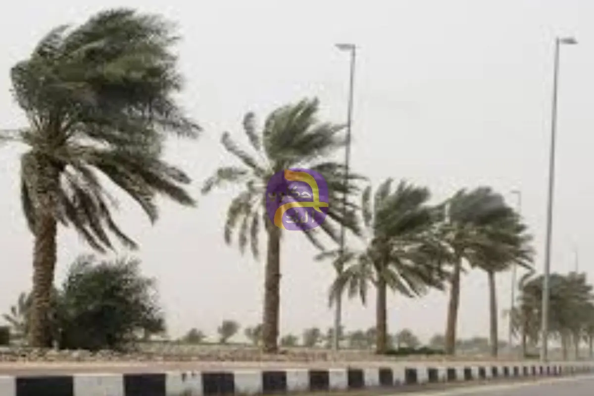 حالة الطقس بمصر الـ 6 أيام المقبلة.. نشاط للرياح وانخفاض في درجات الحرارة