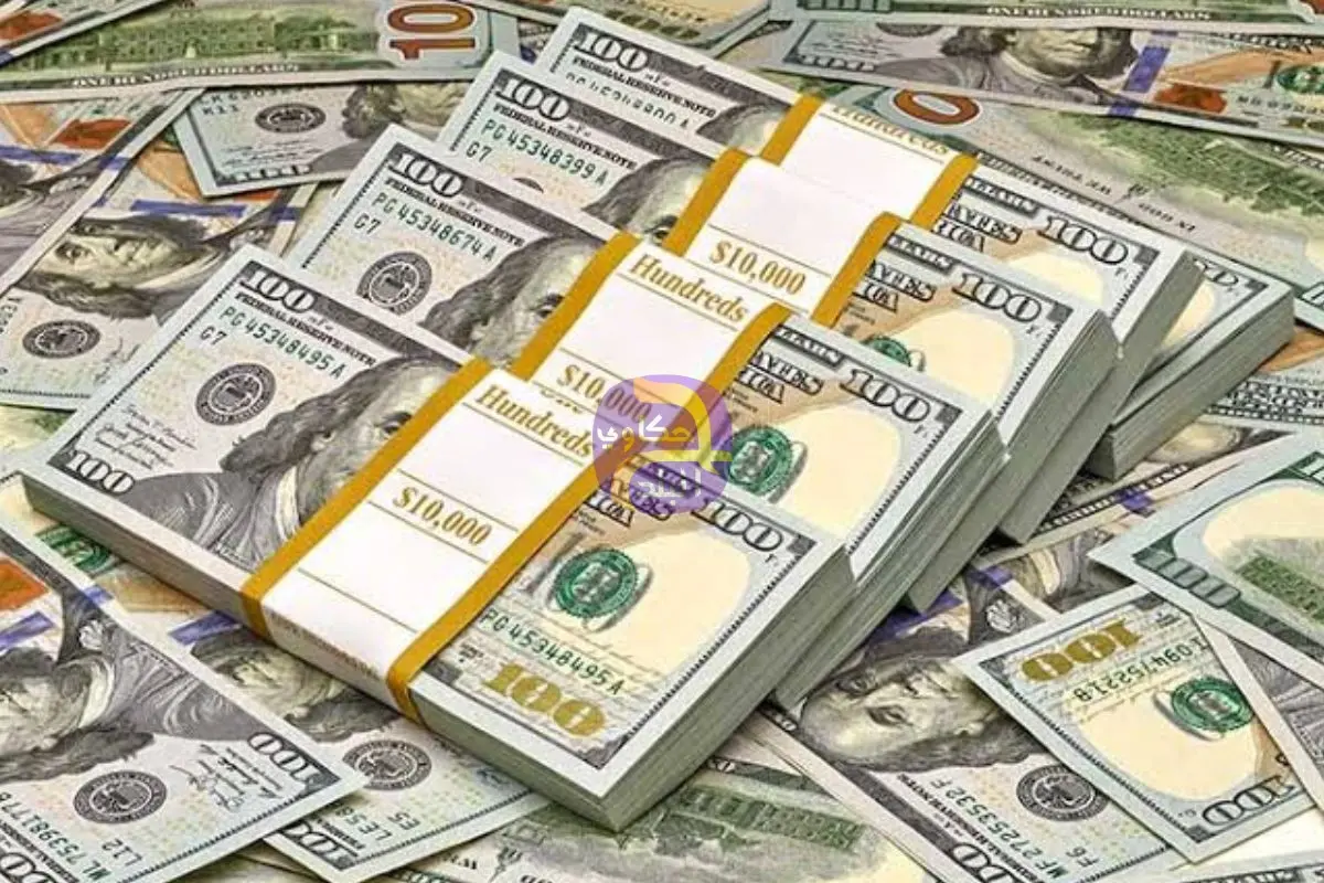 تعرف على سعر الدولار مقابل الجنيه فى البنك المركزى المصرى 50.08 جنيه للشراء