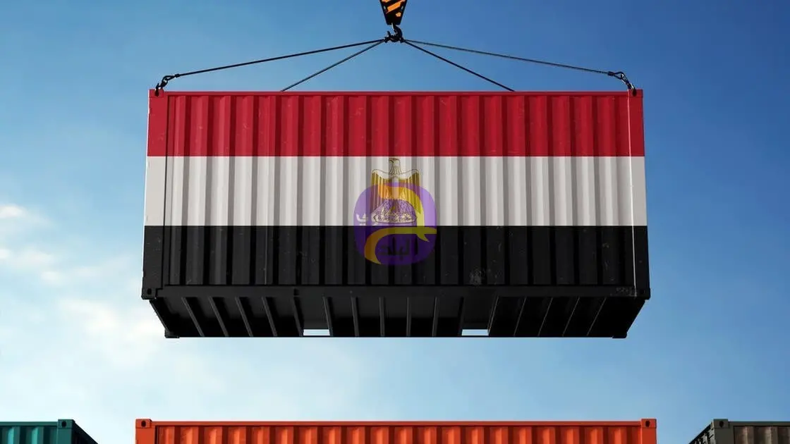 10 دول تستحوذ على 39% من صادرات مصر الغذائية.
