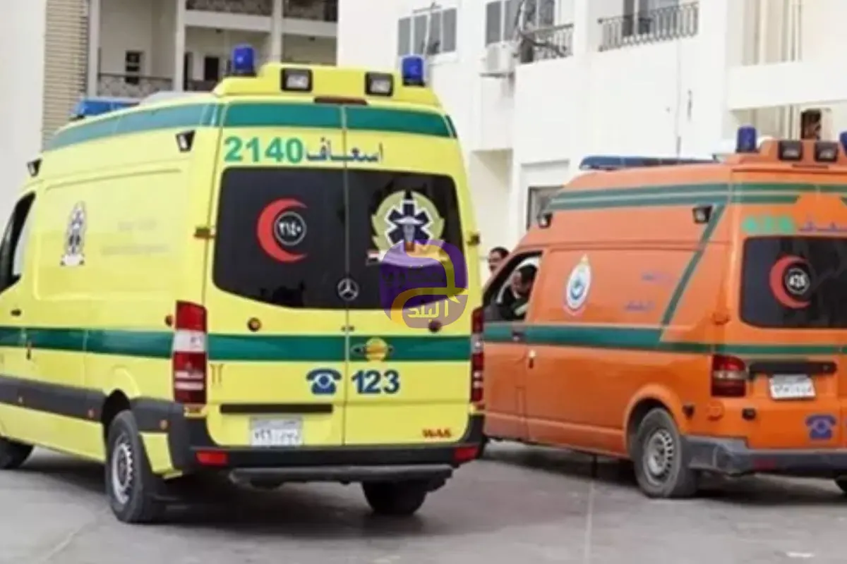 مصرع 3 أطفال إثر حريق منزل بقرية القشيش في شبين القناطر