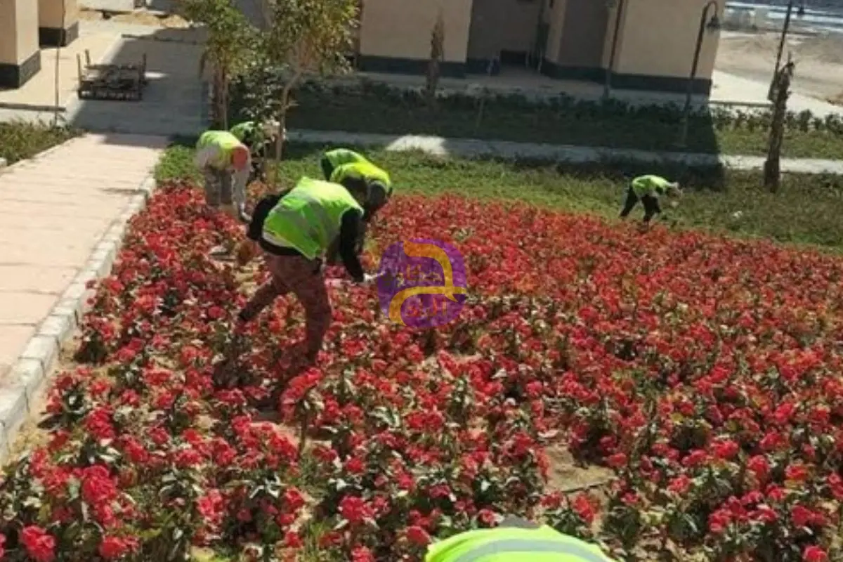جهاز حدائق أكتوبر يوسع نشر أكشاك حراسة المسطحات الخضراء لأول مرة بالمدن الجديدة