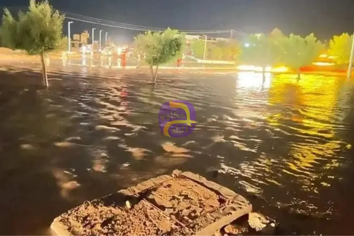 أمطار رعدية على عدة مناطق في مصر.. نصائح للمزارعين وتحذير للمواطنين