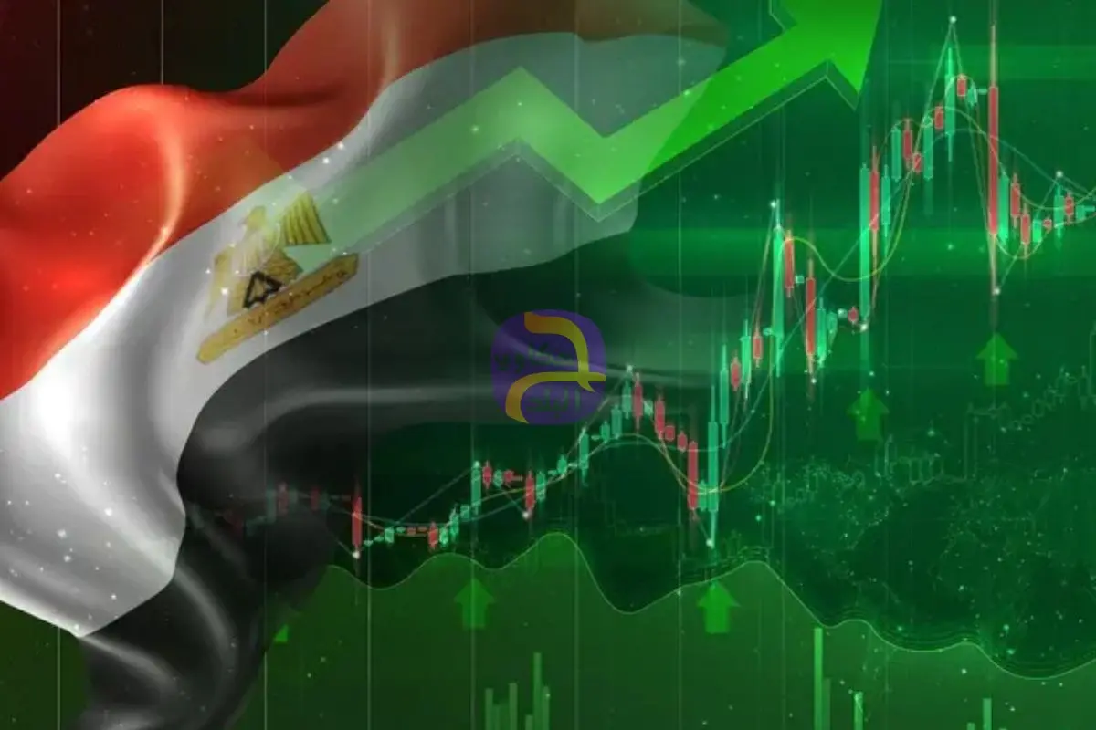 متى بشاي: ضغوط الاستيراد في مصر تتصاعد والتاجر يحاول امتصاص الزيادات