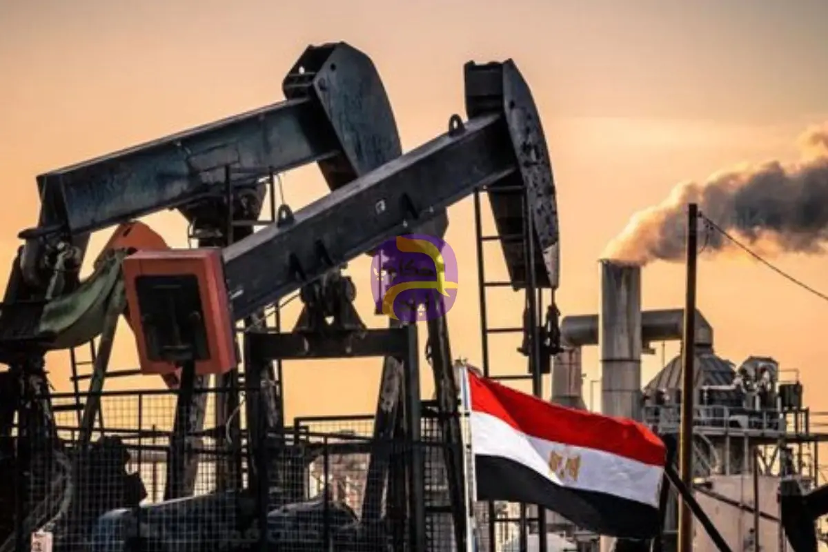 صندوق النقد: مصر تستهدف خفض أعباء قطاع البترول على الموازنة 25% خلال 2026-2027