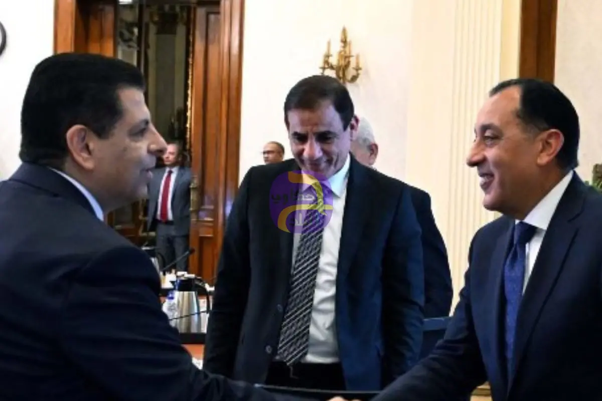المواطن لم يعد يحتمل.. "برلمانية المصري الديمقراطي" تكشف كواليس اجتماع رئيس الوزراء