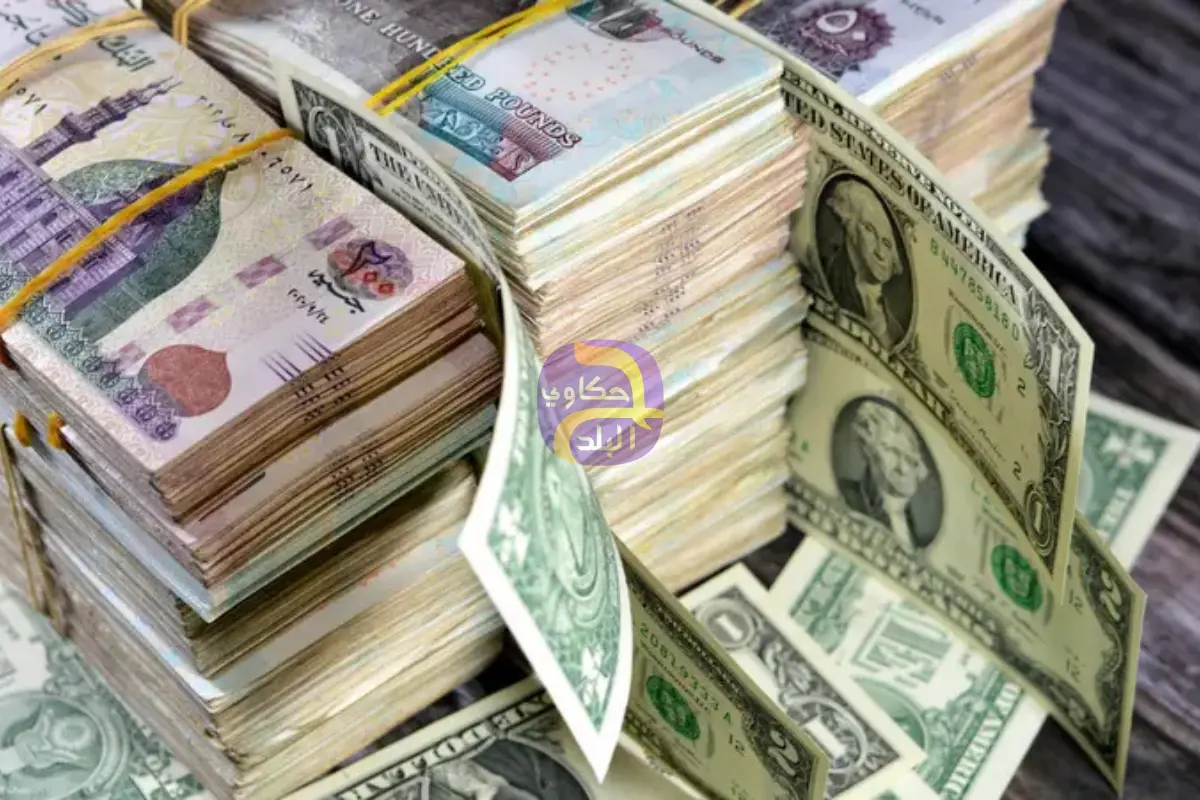 صندوق النقد يرفع توقعاته للجنيه المصري خلال العام الحالي ويخفضها للأعوام المقبلة