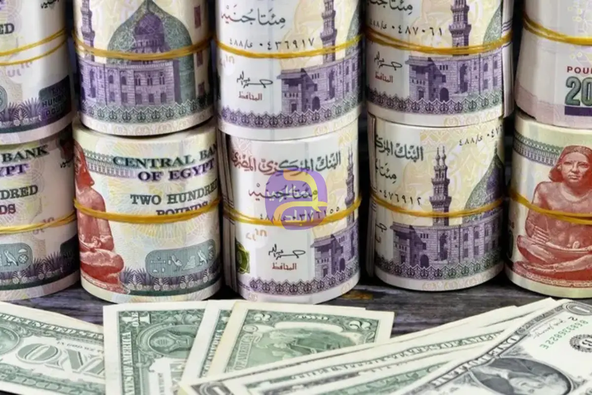 قفزة في تعاملات الإنتربنك الدولاري بمصر تدعم تعافي الجنيه