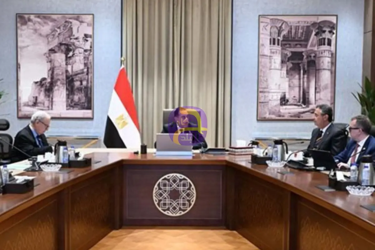 رئيس الوزراء: مُناقشات مع عدد من الدول لإنشاء مراكز لوجيستية للحبوب والزيوت في مصر