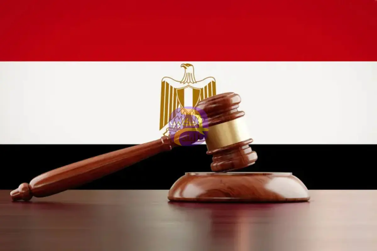 ملاحقة ومنع من السفر.. قرار حكومي يحمي حقوق المطلقات في مصر
