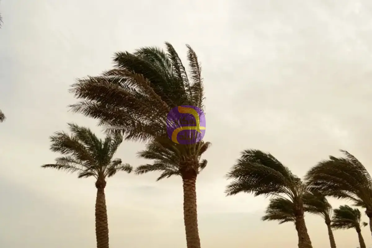 "الثلث المشاغب".. بدء أخطر مراحل الربيع مناخياً