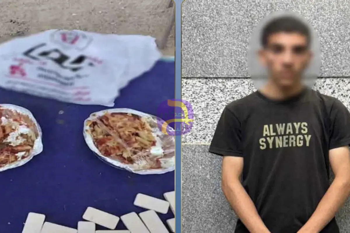 زواحف في وجبة داخل مطعم مصري تثير ضجة.. الداخلية تتحرك وتوضح