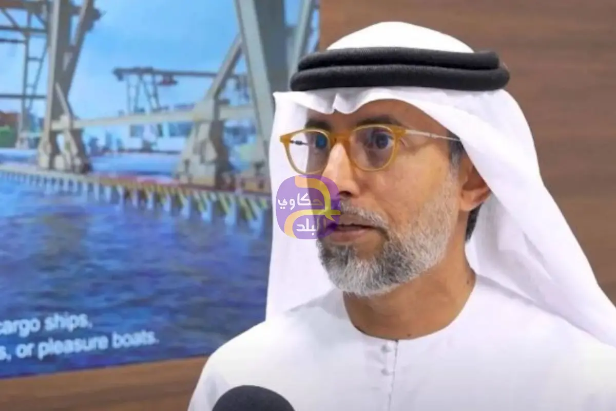 "قرار سيادي".. وزير الطاقة الإماراتي يعلق على الانسحاب من أوبك