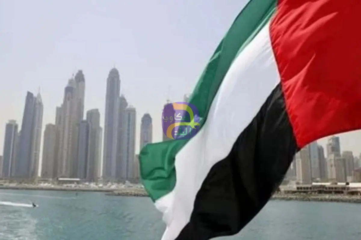 الإمارات تعلن تشكيل لجنة وطنية لتوثيق أعمال العدوان الإيراني والجرائم الدولية والأضرار الناجمة عنها