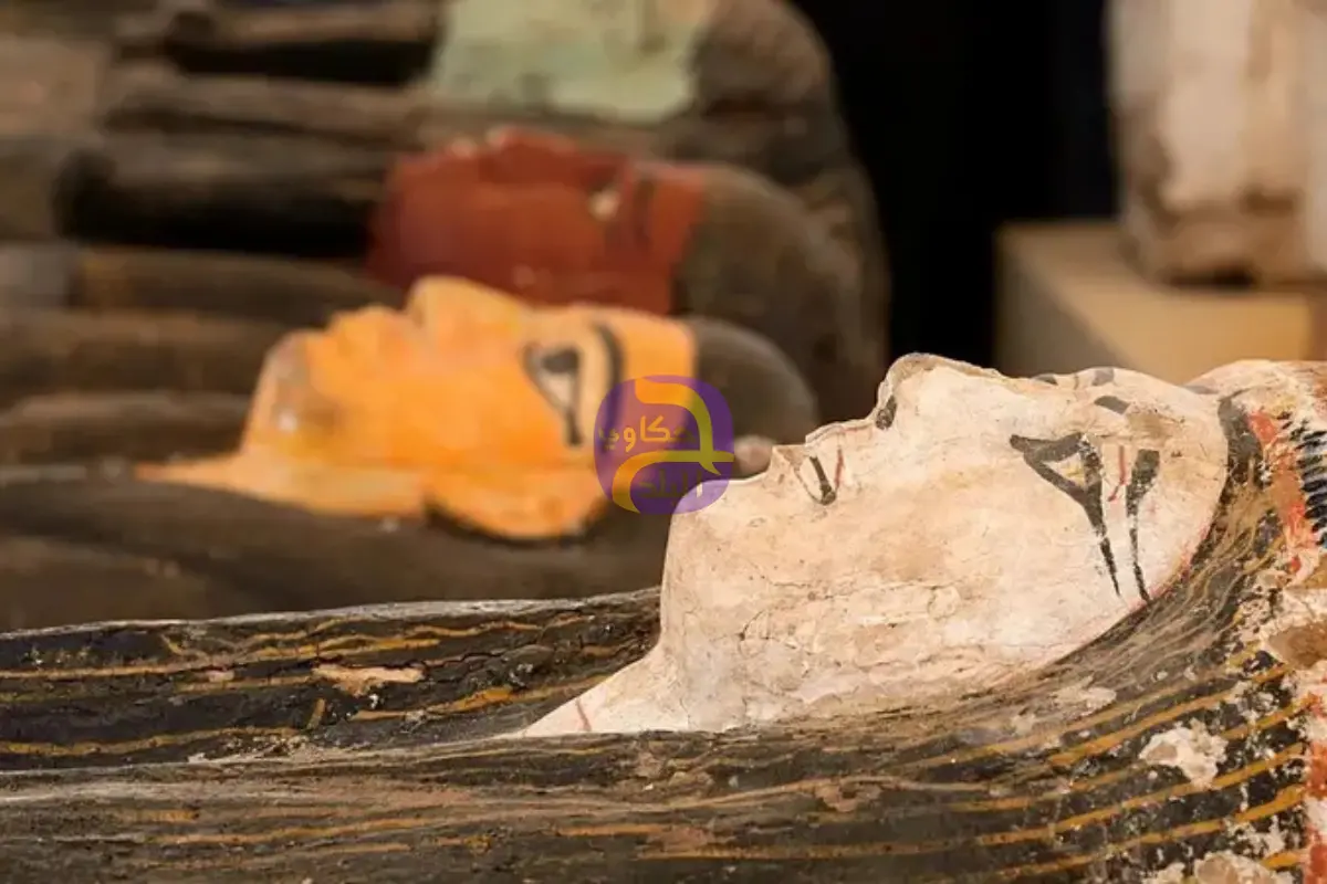 حواس يوضح: قانون ماكرون لاسترداد الآثار لا يطبق على مصر