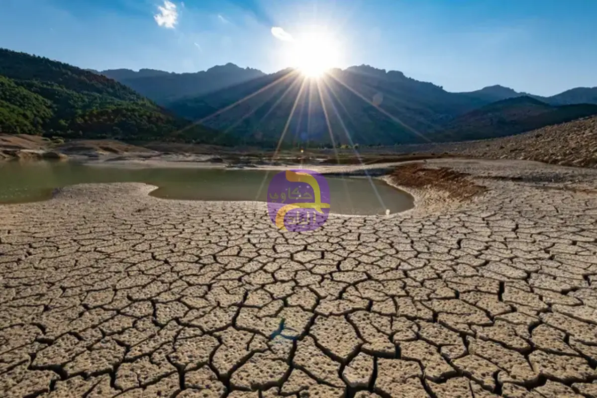 فقد 21 مليار متر يهدد بتبوير 130 ألف فدان ..كيف تواجه مصر فقرها المائي؟