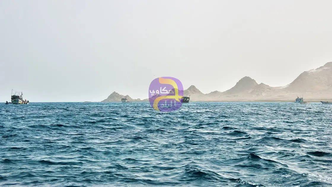زوارق تقترب من سفن بخليج عدن.. بينها قارب كبير يحمل أسلحة