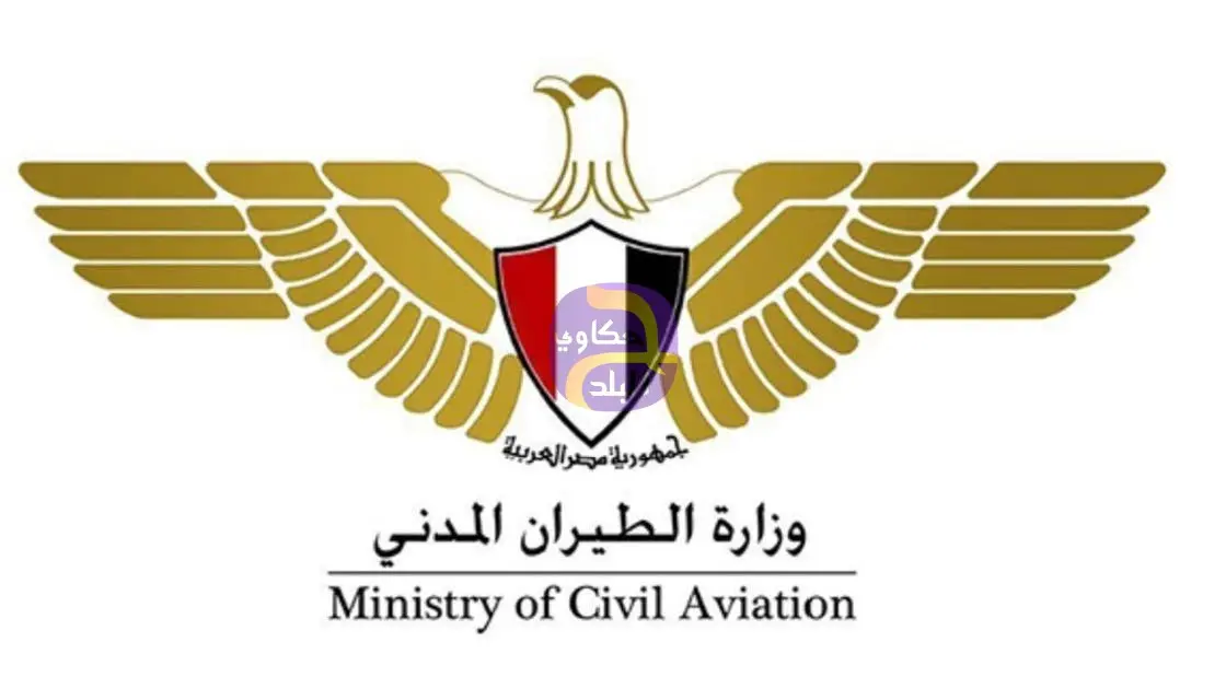 مصرع طيار بسقوط طائرة تدريب
