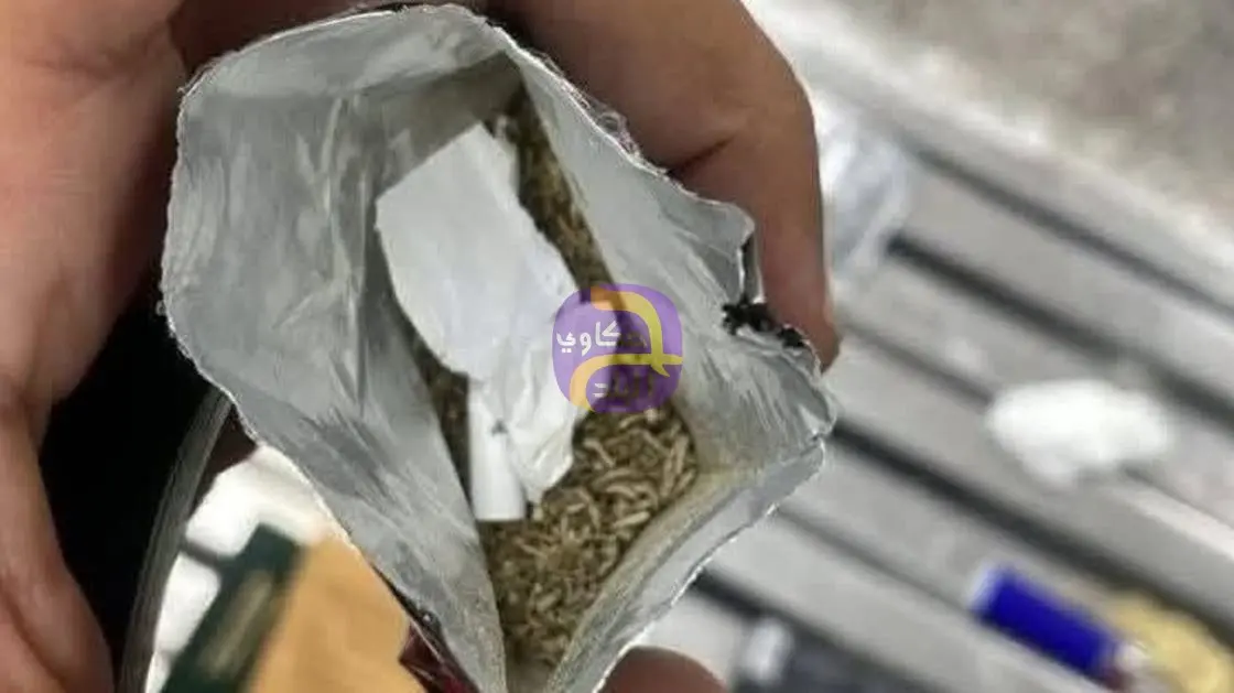إحباط تهريب مخدر سام يفوق تأثيره الحشيش مئات المرات