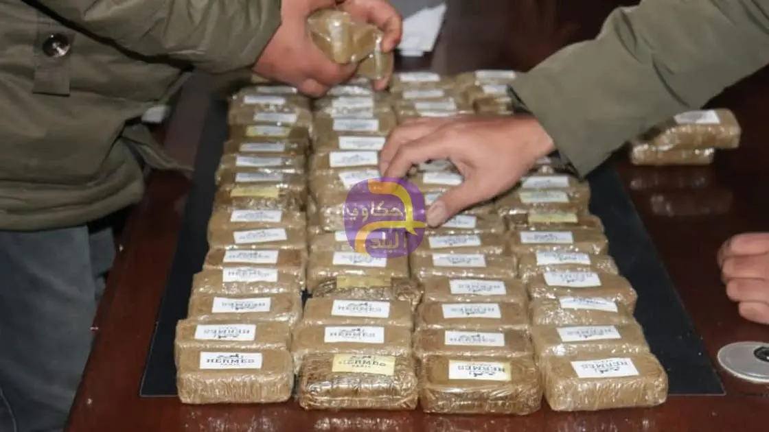 بيان للجيش: ضبط 223 مصرياً وأجنبياً متورطين في تهريب الذهب والمخدرات