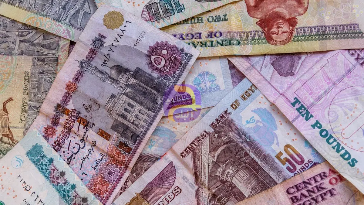 لا صحة لانتشار عملات فئة الـ 50 جنيهاً "مزيفة"