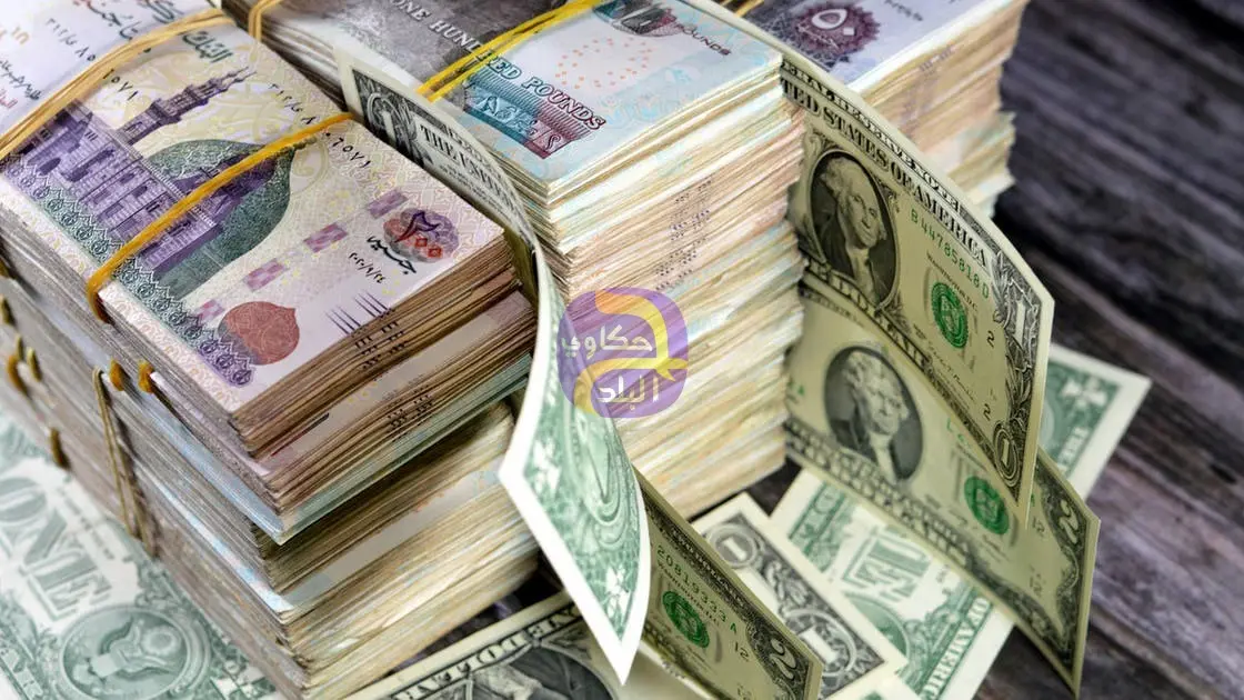 سعر الدولار في مصر يعود للخسارة بعد ارتفاع مؤقت