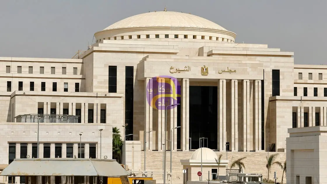 مجلس الشيوخ المصري يرفض رفع الحصانة عن أحد أعضائه.. لهذا السبب