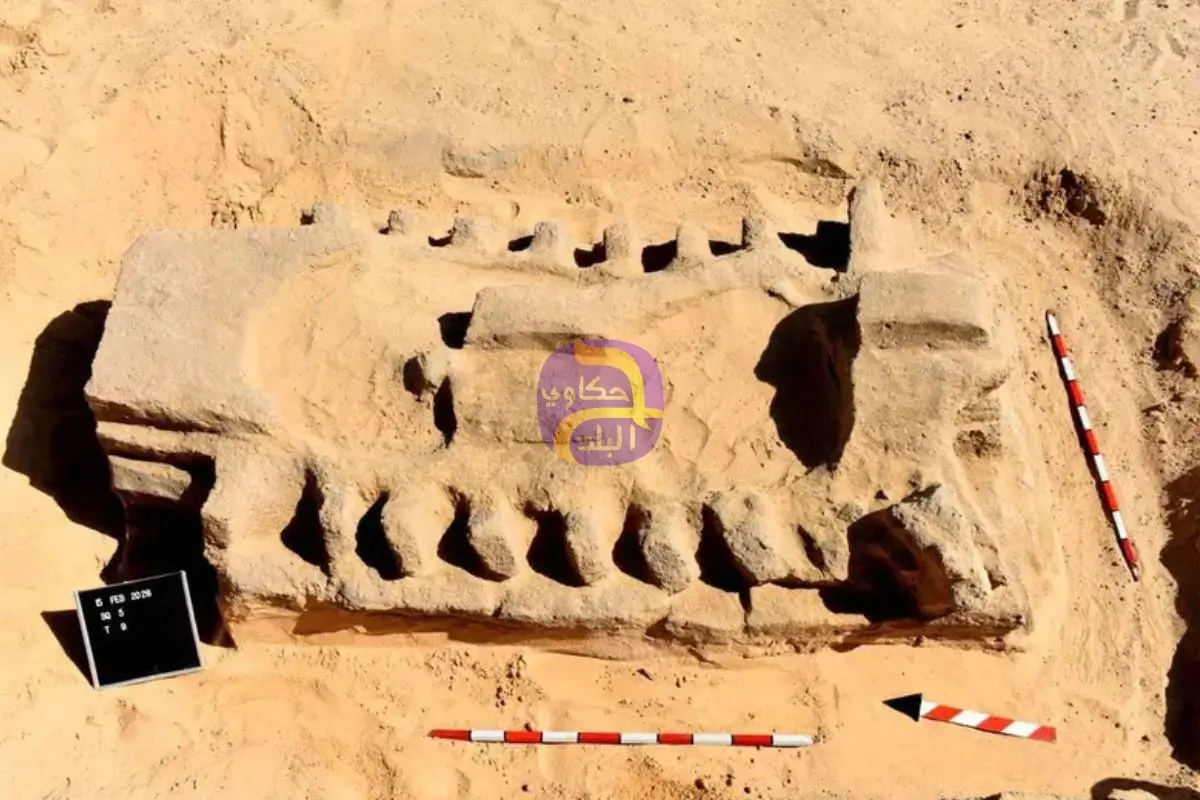 اكتشاف أثري جديد في مصر.. مدينة ومقابر عمرها آلاف السنين