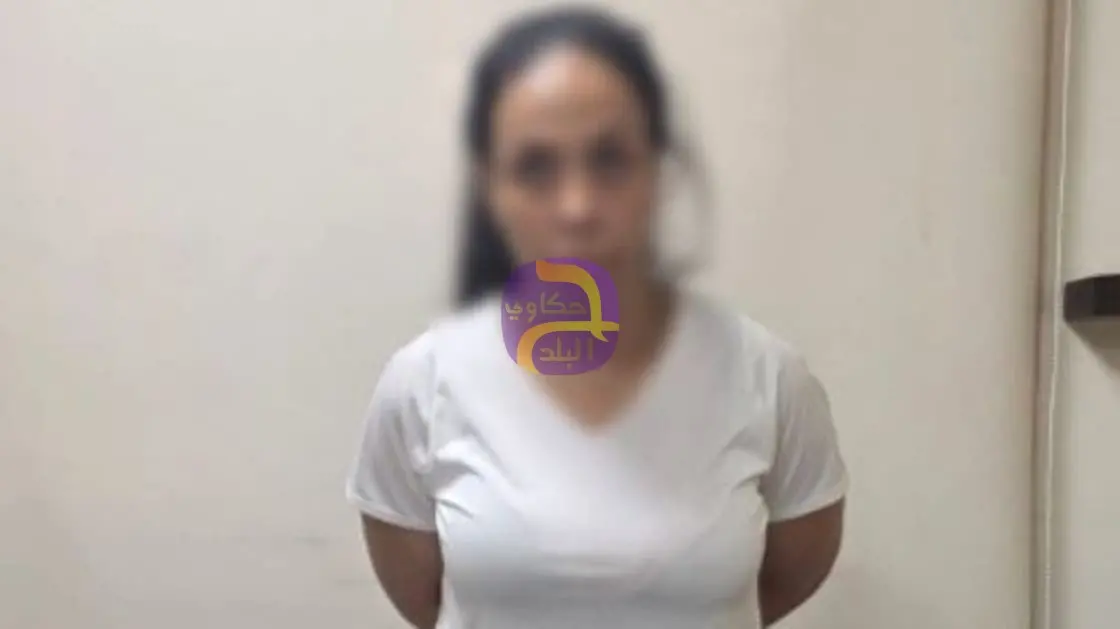 ضبط المتهمة بسرقة منزل كان يمتلكه الوزير الأسبق حبيب العادلي
