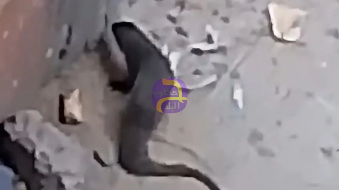 فيديو لحيوان غامض يثير رعباً بمدينة مصرية.. والأهالي يستغيثون