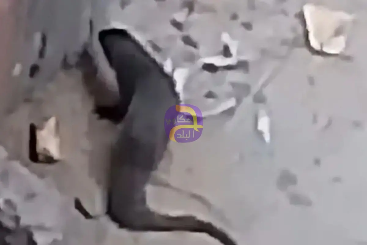 فيديو لحيوان بري مجهول يثير الذعر في أبشواي بالفيوم.. والأهالي يطالبون بتحديد هويته