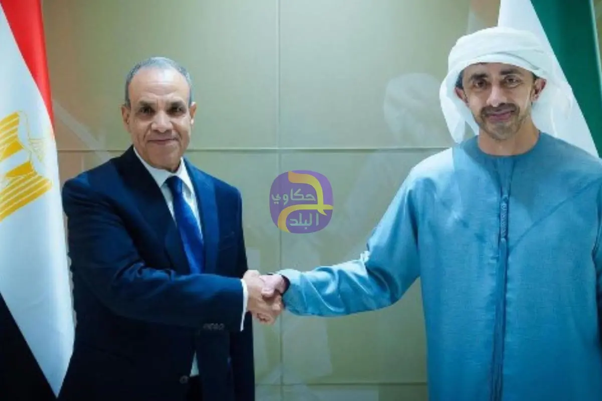 مصر والإمارات يؤكدان على أهمية الحفاظ لحرية الملاحة في مضيق هرمز وفقًا لقواعد القانون الدولي