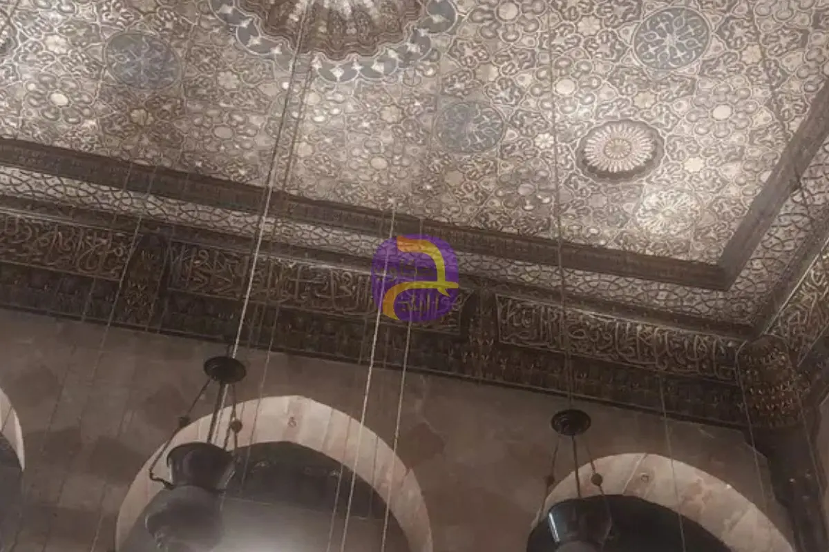 مصر توضح حقيقة ظهور خفافيش في شارع المعز بالقاهرة