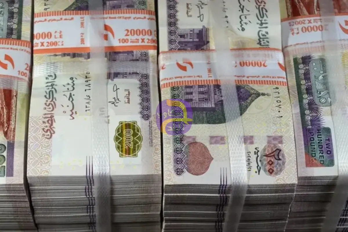 بنوك مصرية تصعد المنافسة على السيولة بعوائد أكبر على حسابات التوفير