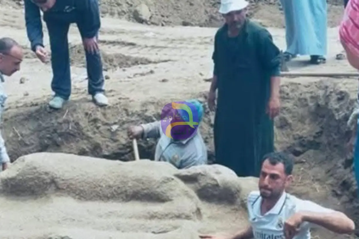العثور على تمثال أثري بموقع تل فرعون أثناء الحفائر بالشرقية